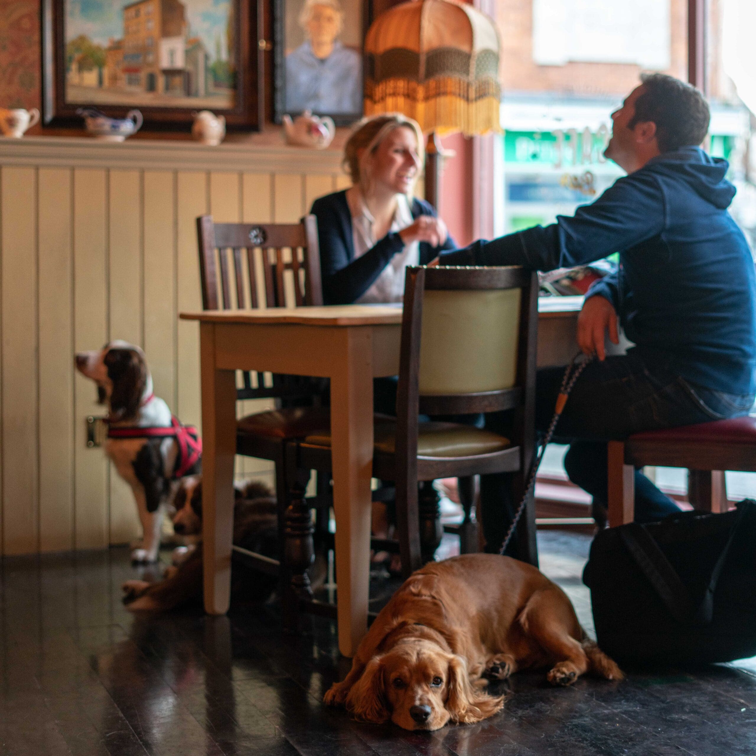 A man and woman sit at a table in a cozy cafe, smiling at each other as they sip Rosado. Two dogs are present: one lies on the floor in the foreground, while the other sits by the wall. Art and a vintage lamp decorate the warm space.