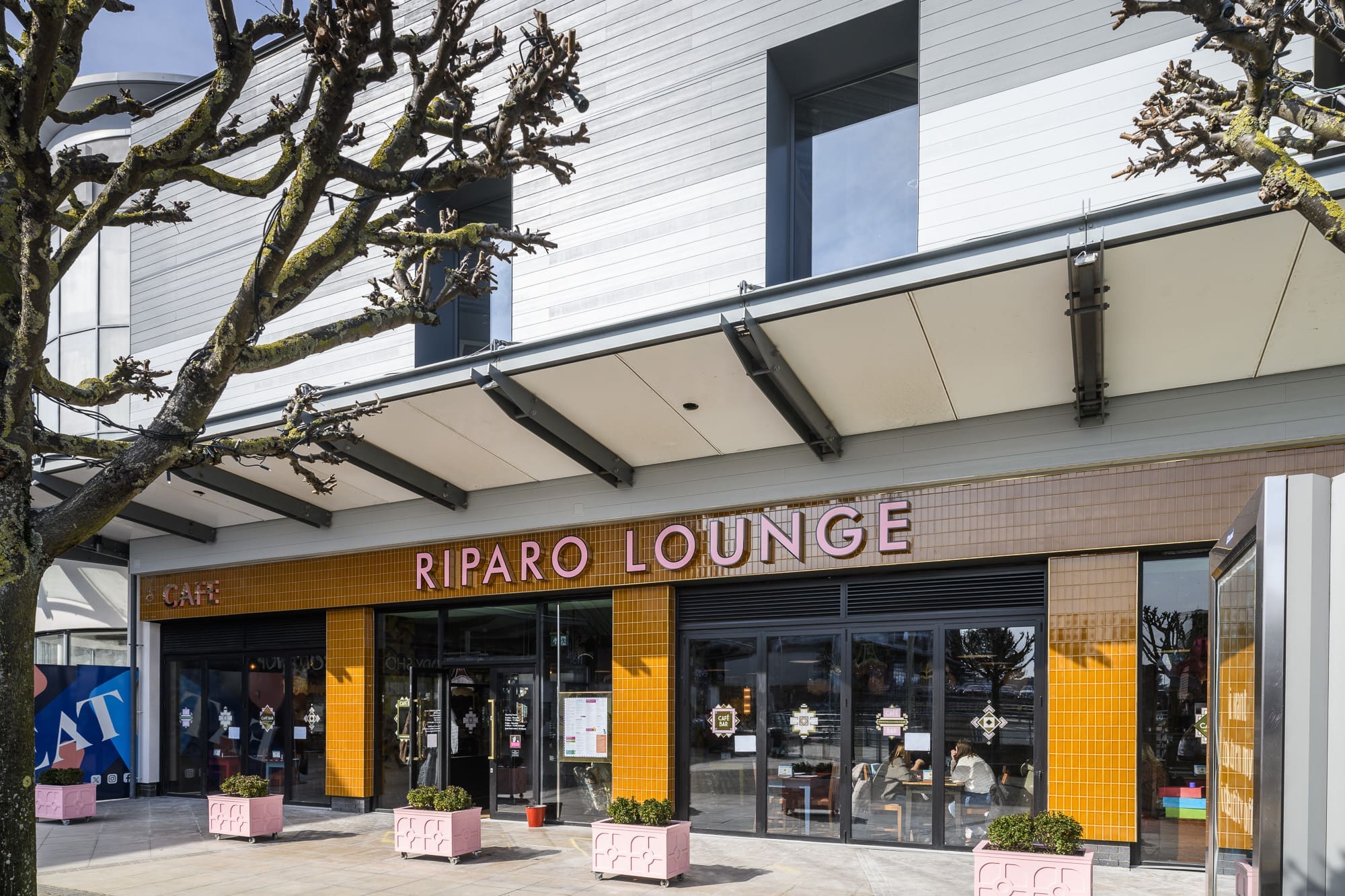 The exterior of Riparo Lounge café features large glass windows, a modern brown and yellow tile façade, distinctive pink riparo signage, and potted trees on the sidewalk under a covered awning.