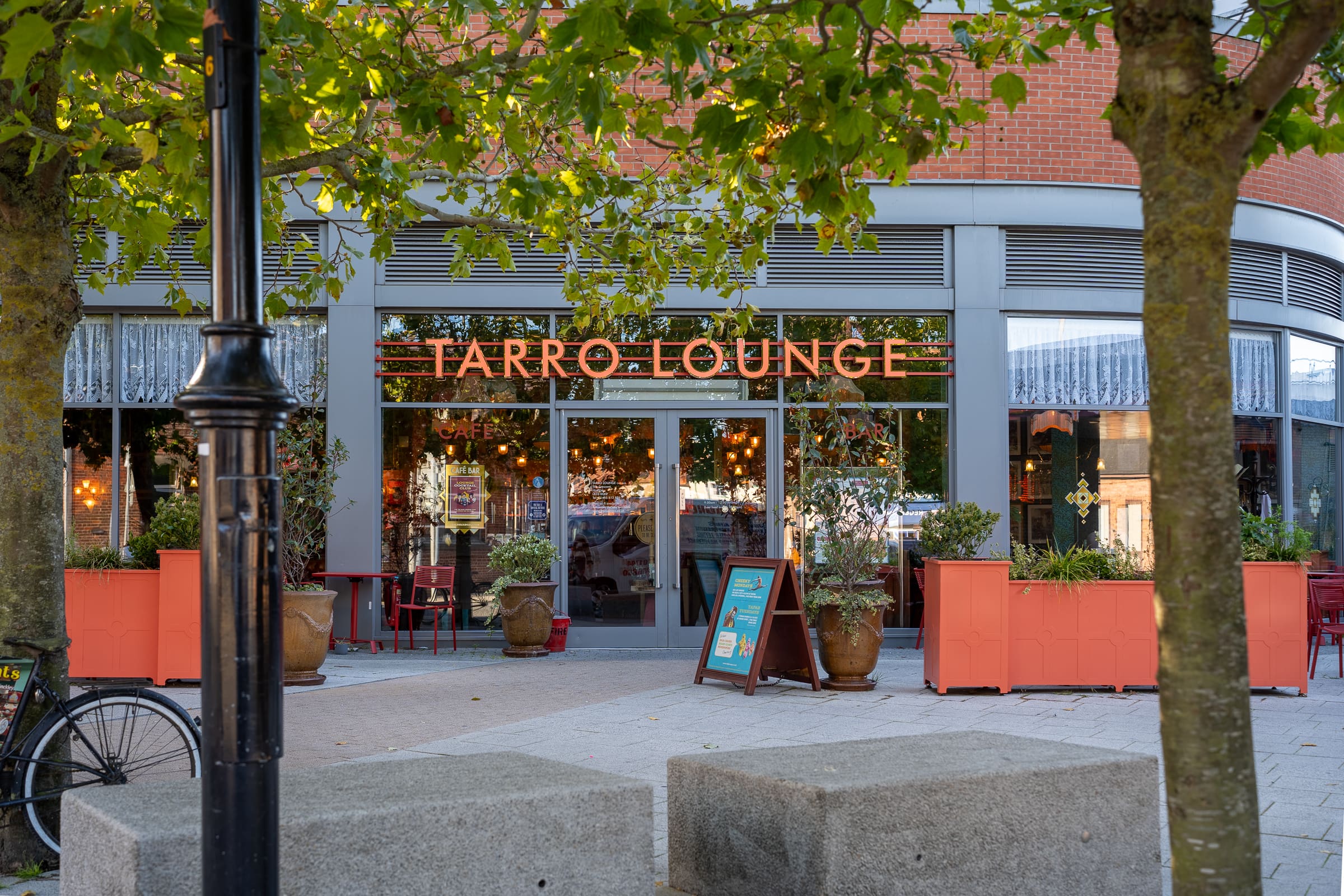 The entrance to Farro Lounge, a cozy café reminiscent of Tarro, features large windows, outdoor seating, potted plants, and a bright sign. Trees and a bicycle are visible in the foreground.