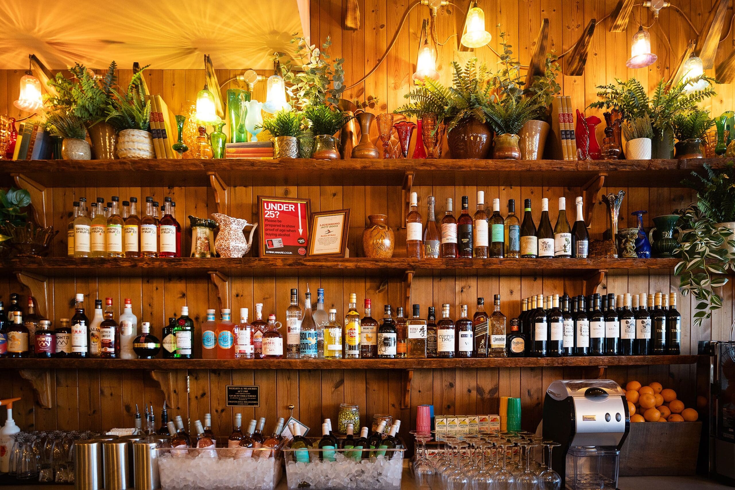 A cozy bar with wooden shelves holding various liquor bottles, glassware, wine, and plants—including a vibrant carpino—warmly lit by hanging lamps and accented with colorful decorations. An ice bin and drink machine sit on the counter below.